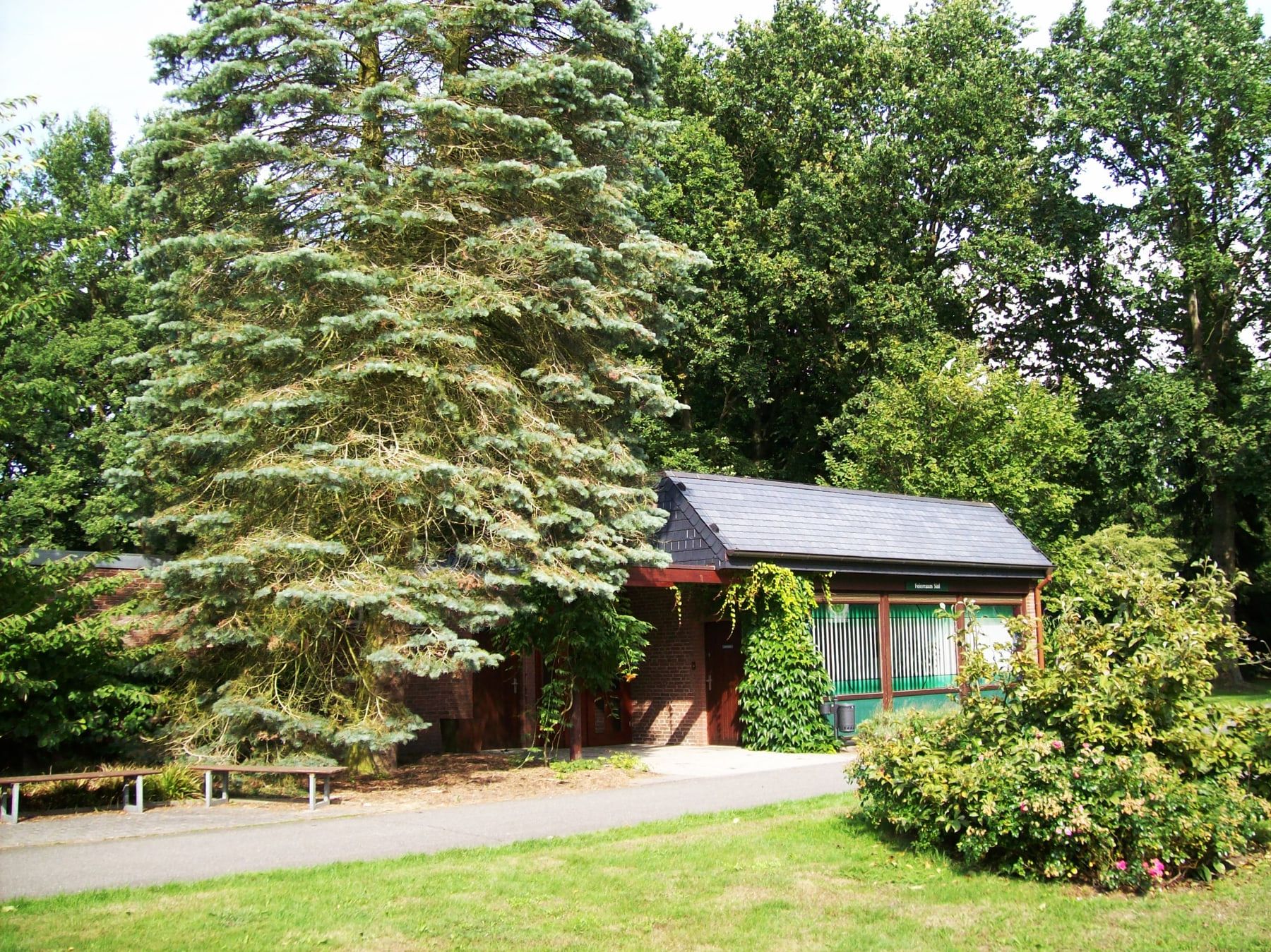 Kleines dunkles Gebäude mit farbigen Fensterflächen hinter einer großen Konifere auf Friedhof Öjendorf